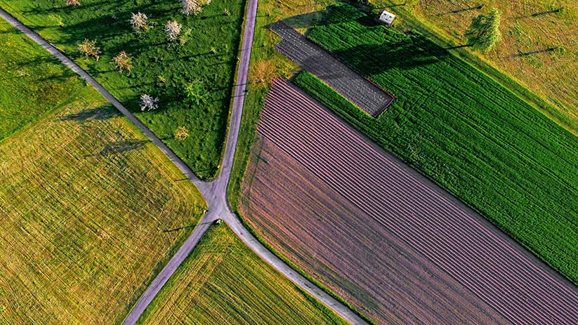 Taxe foncière propriétés non bâties