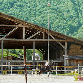 centre-equestre-montfort