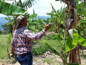 « Des Alpes aux Andes » : coopération internationale avec la ville de Zapatoca (Colombie)