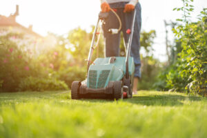 jardinage tondeuse