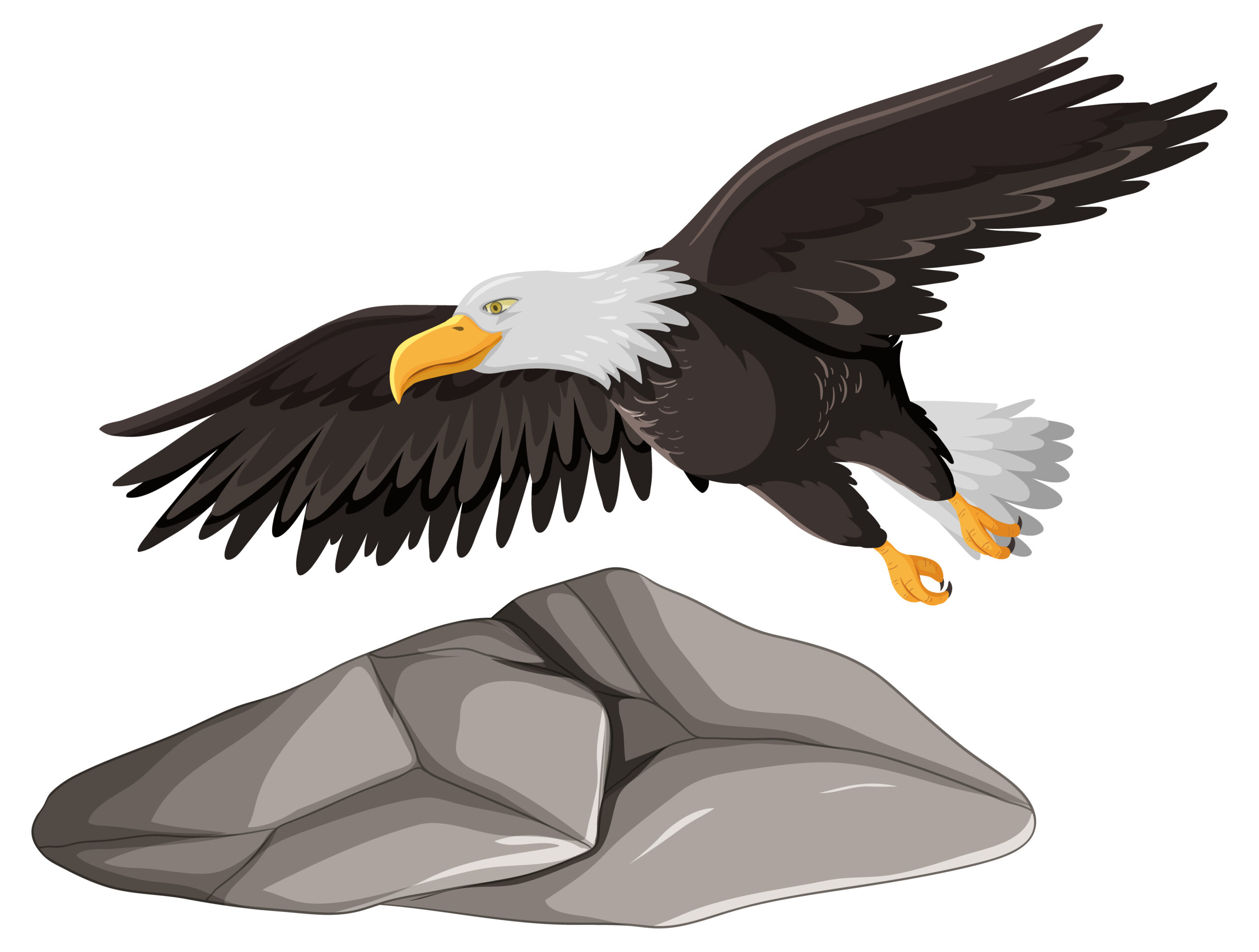 eagle flying over gray rock
