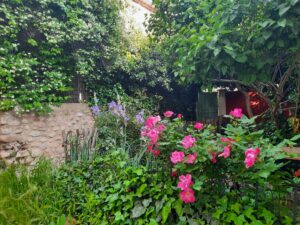 maisons fleuries