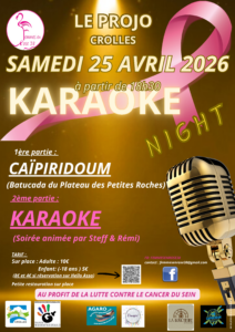 affiche femmes en rose