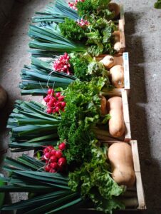 paniers solidaires dr