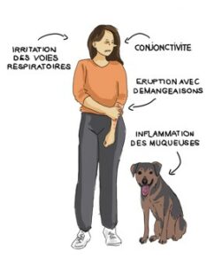 risques chenilles processionaires