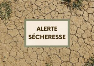 alerte sécheresse (5)