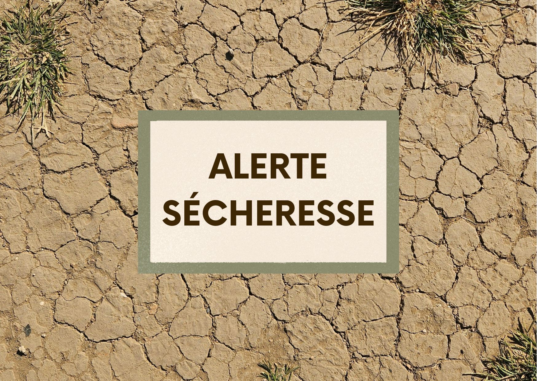 alerte sécheresse (5)