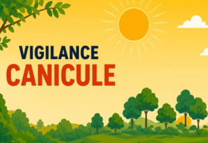 visu canicule2