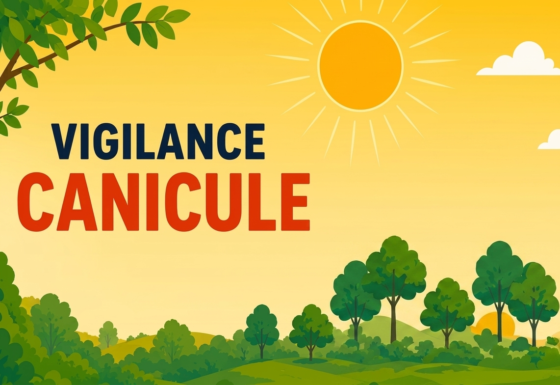 visu canicule2